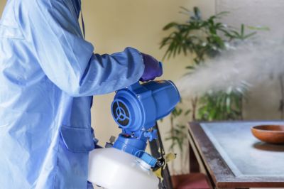 Fumigation Service in Bellingham, WA