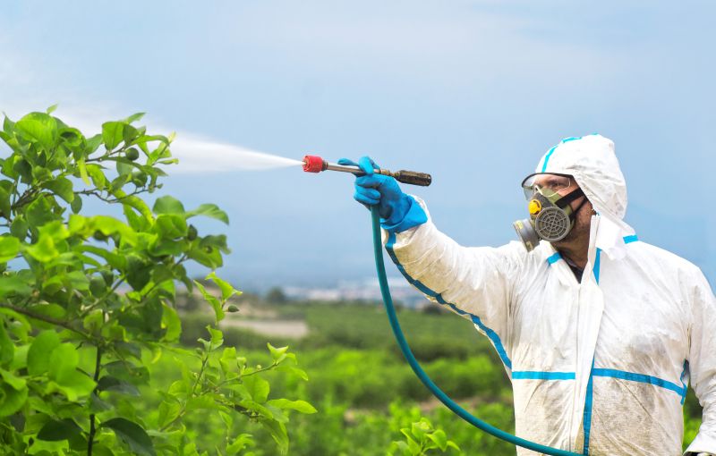 Pest Fumigation Service in Lafayette, LA