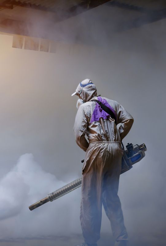 Spider Fumigation Service in Wilmington, DE