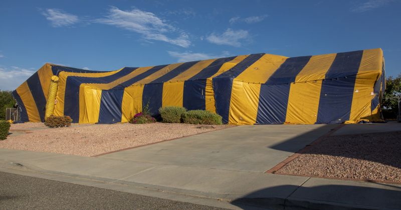 Termite Tenting in Marietta, GA