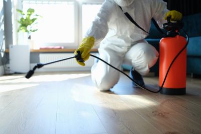 Spider Extermination Service in Mckinney, TX
